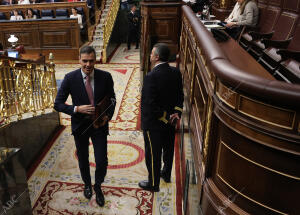 Pleno sesión de control al Gobierno e interpelaciones urgentes