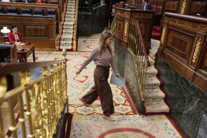 Pleno sesión de control al Gobierno e interpelaciones urgentes