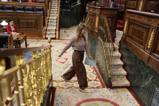 Pleno sesión de control al Gobierno e interpelaciones urgentes