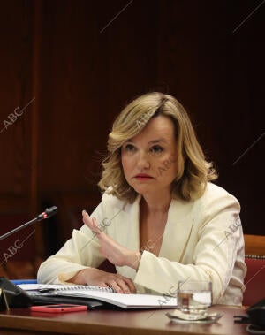 Comparecencia de la exdelegada del Gobierno en la Comunidad Autónoma de Aragón y...
