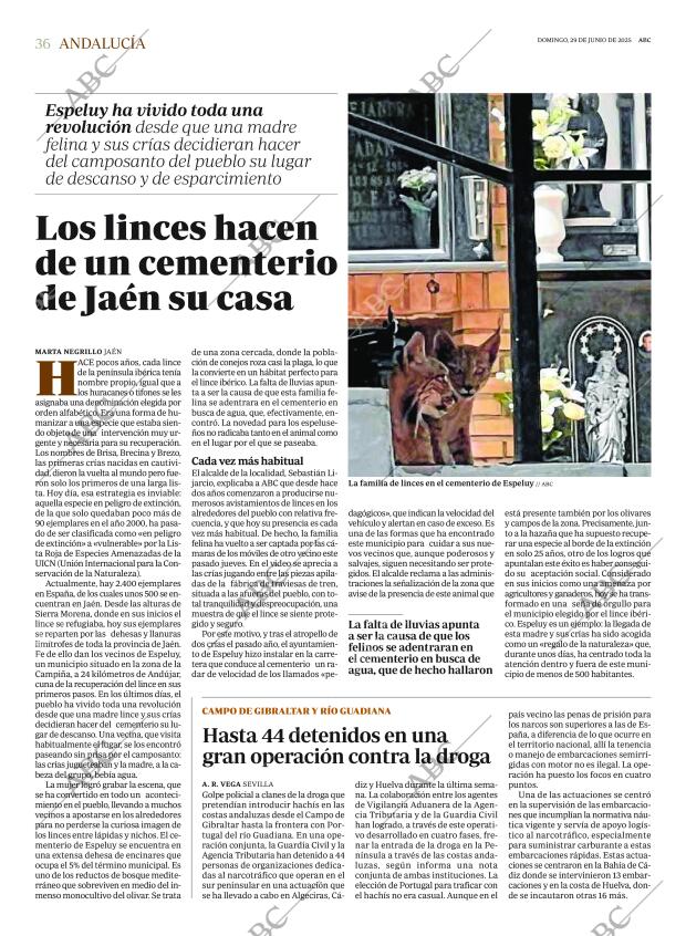 ABC SEVILLA 29-06-2025 página 36