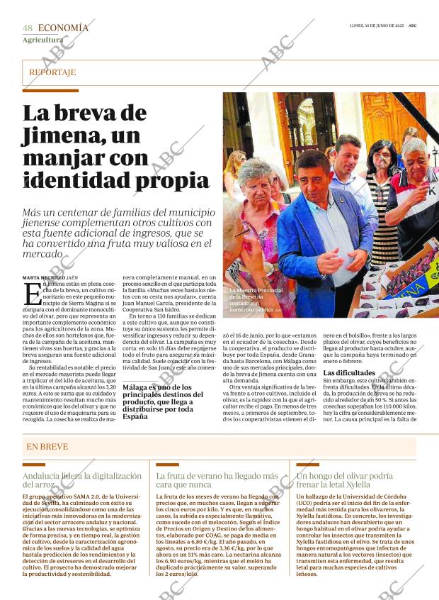 ABC SEVILLA 30-06-2025 página 48