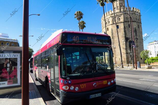 Reportaje Tussam (Transportes Urbanos de Sevilla sociedad Anónima Municipal )