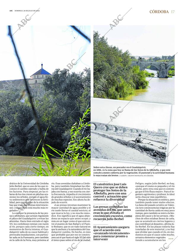ABC CORDOBA 20-07-2025 página 17