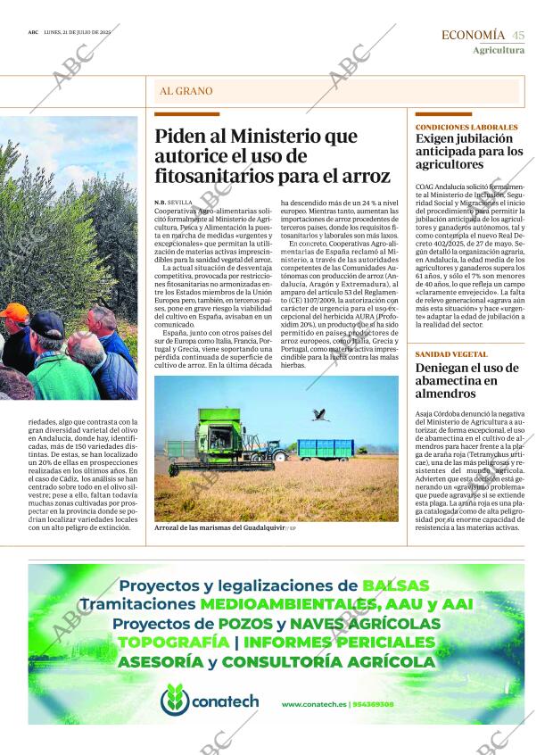 ABC SEVILLA 21-07-2025 página 45