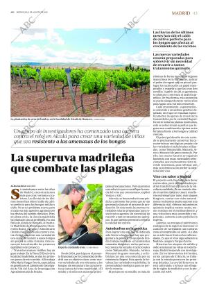 ABC MADRID 06-08-2025 página 43