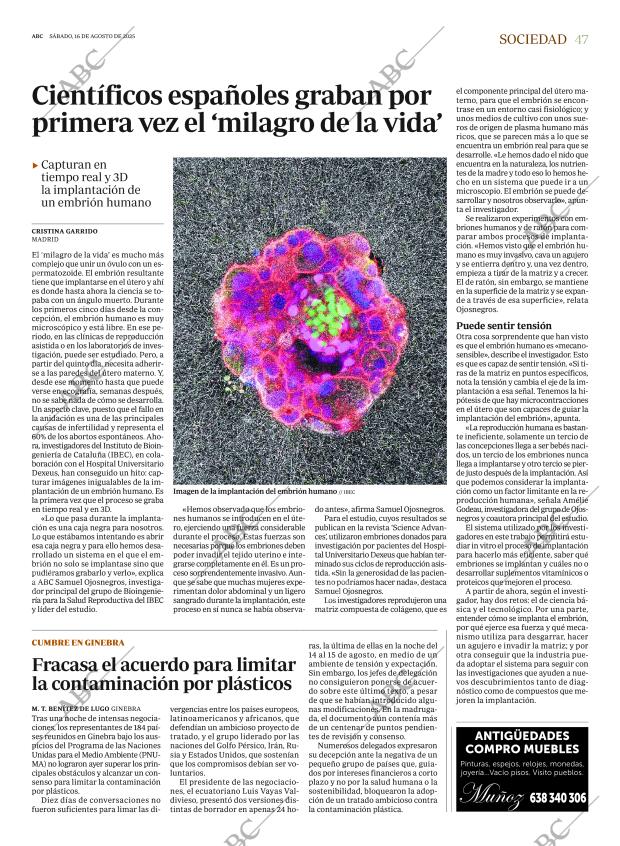 ABC SEVILLA 16-08-2025 página 47