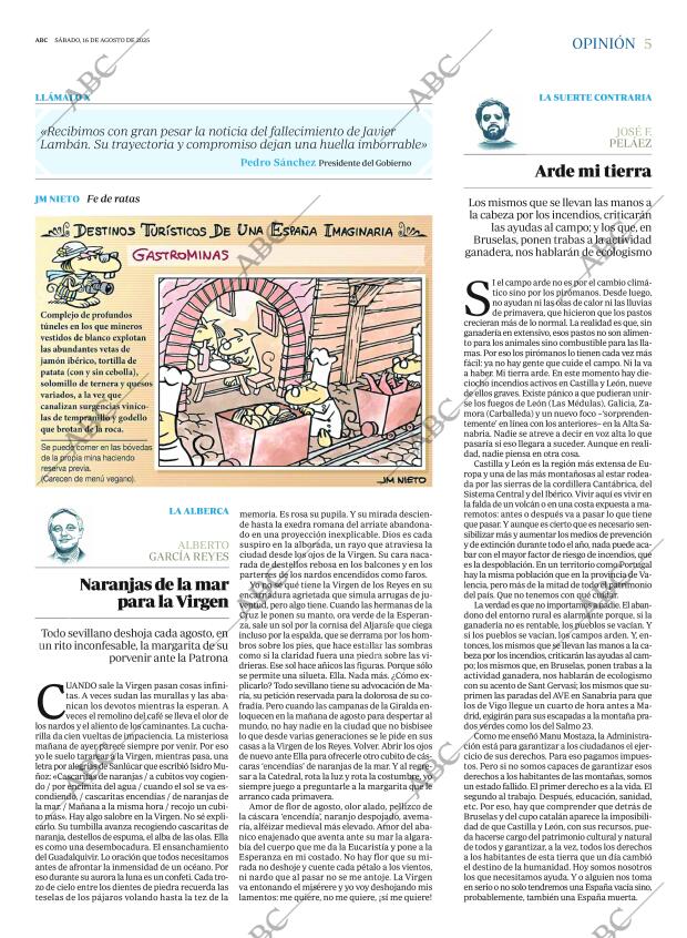 ABC SEVILLA 16-08-2025 página 5