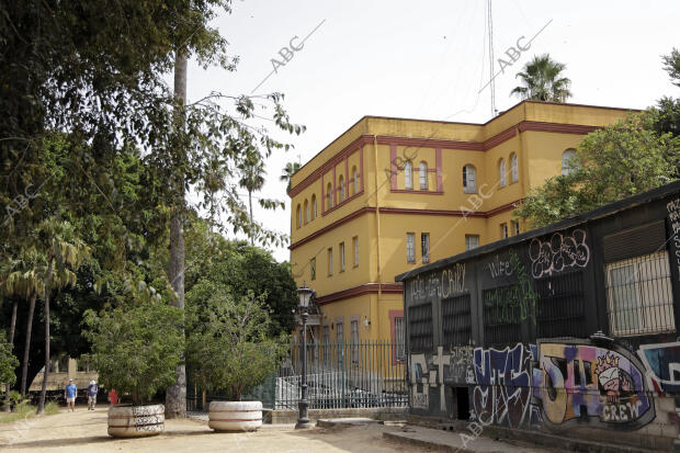 Reportaje sobre la suciedad y descuido en el entorno del Casino de la Exposición...