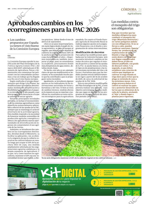 ABC CORDOBA 01-09-2025 página 21