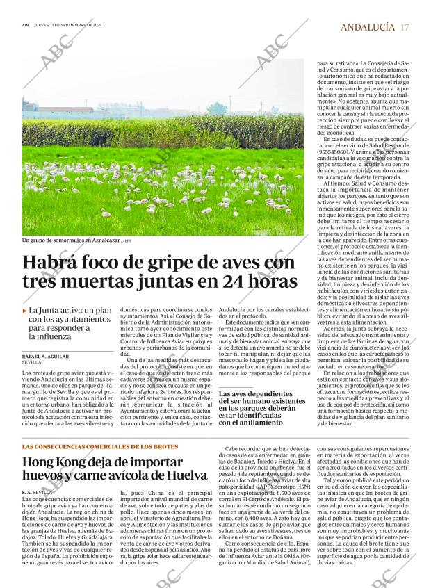 ABC CORDOBA 11-09-2025 página 17