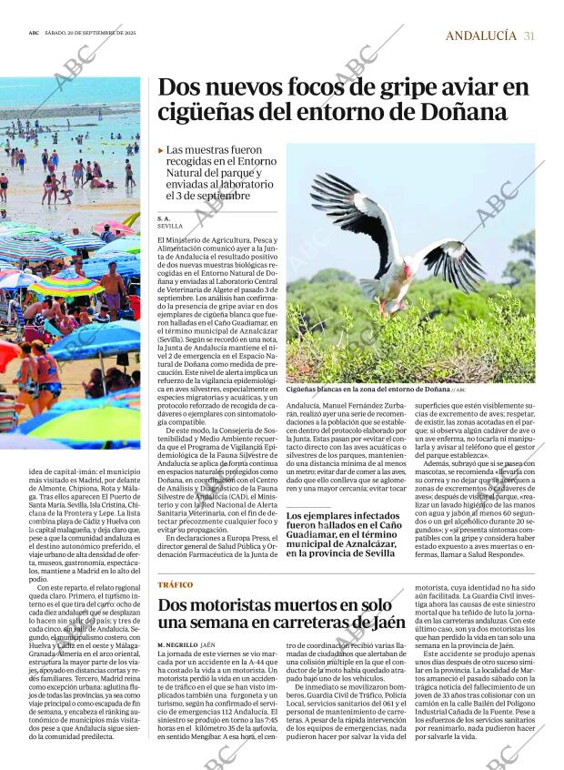 ABC SEVILLA 20-09-2025 página 31