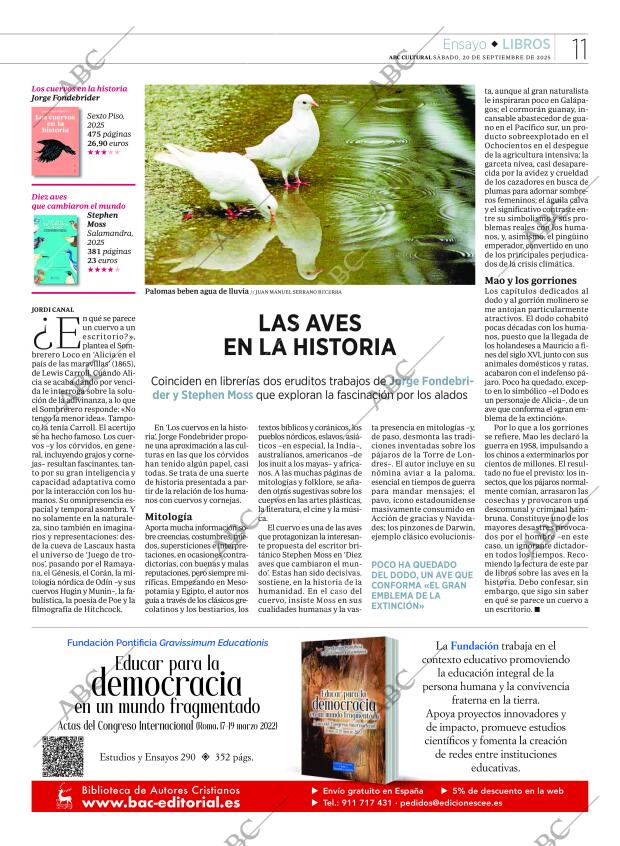 CULTURAL MADRID 20-09-2025 página 11