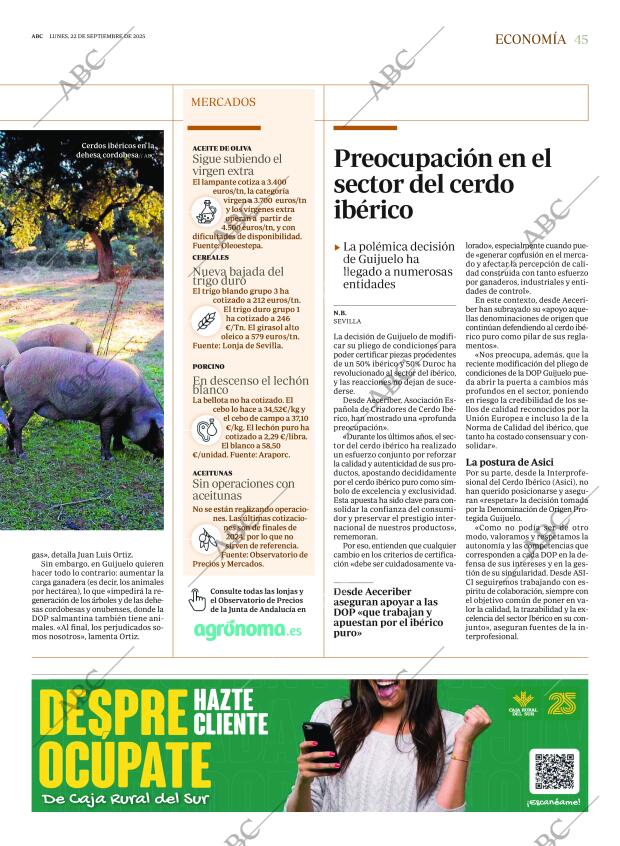 ABC SEVILLA 22-09-2025 página 45