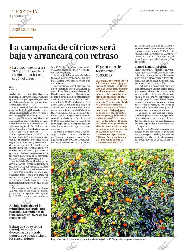 ABC SEVILLA 22-09-2025 página 46