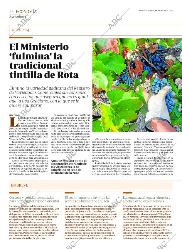ABC SEVILLA 22-09-2025 página 48