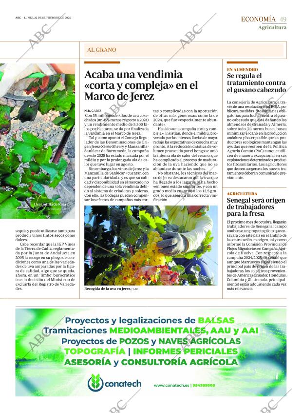 ABC SEVILLA 22-09-2025 página 49
