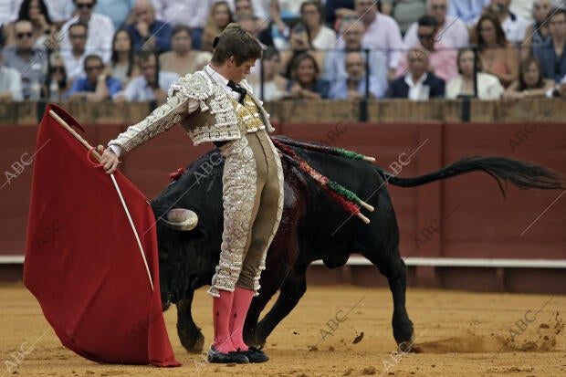 Corrida de toros celebrada en la Maestranza para los toreros Alejandro Talavante...