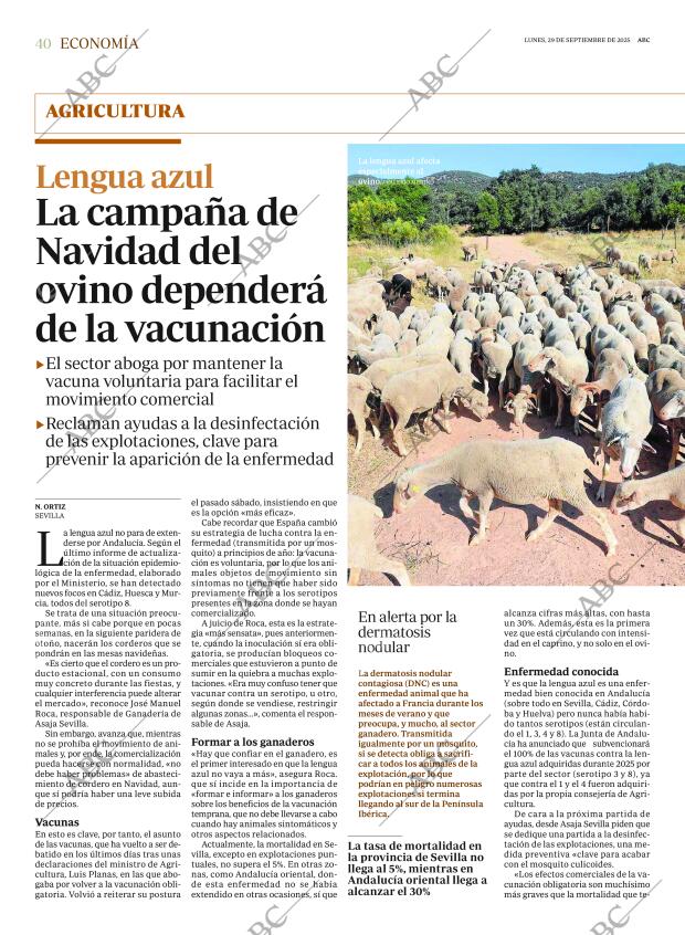 ABC SEVILLA 29-09-2025 página 40