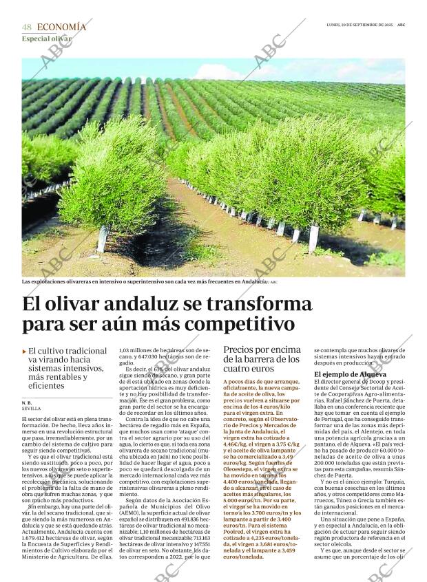 ABC SEVILLA 29-09-2025 página 48