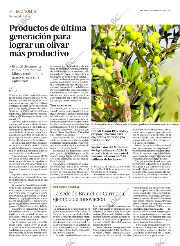 ABC SEVILLA 29-09-2025 página 50