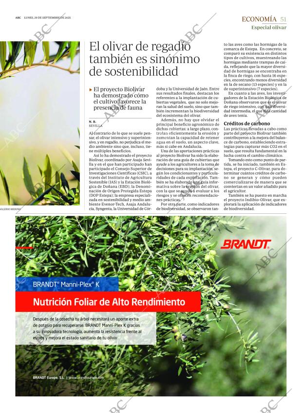 ABC SEVILLA 29-09-2025 página 51