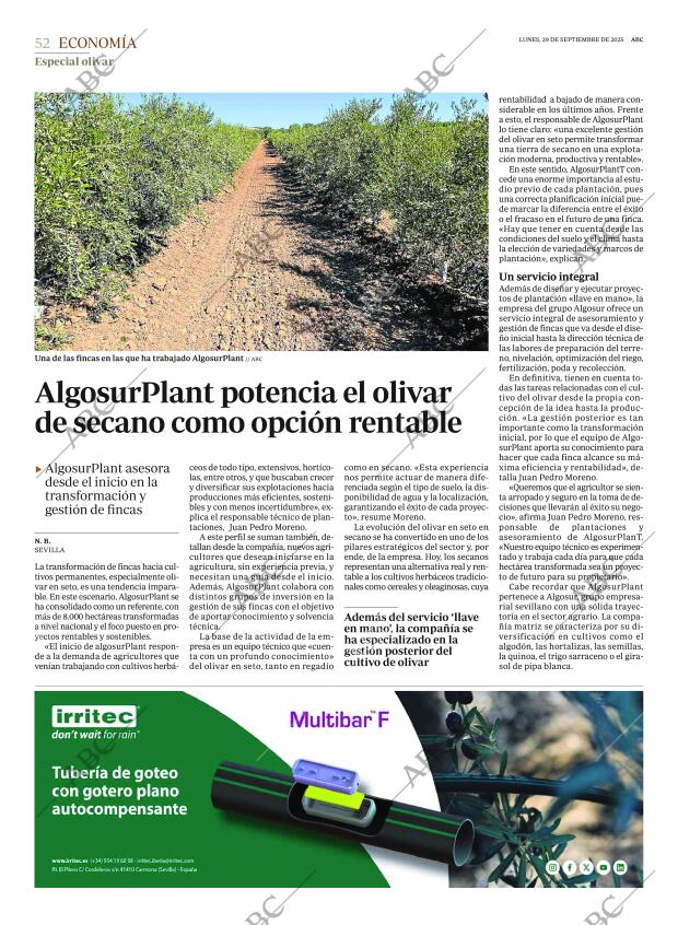 ABC SEVILLA 29-09-2025 página 52
