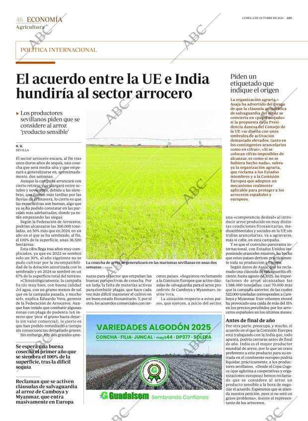 ABC SEVILLA 06-10-2025 página 46