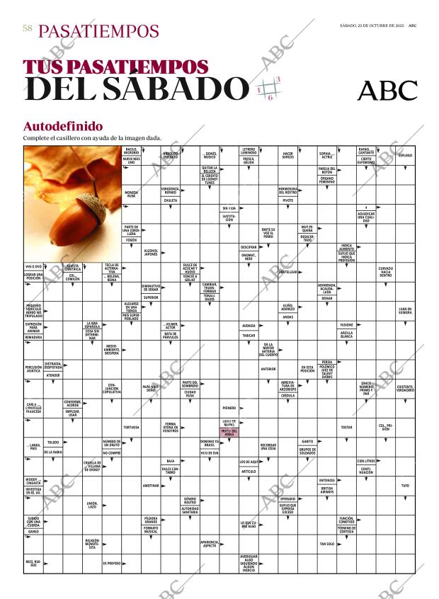 ABC CORDOBA 25-10-2025 página 58