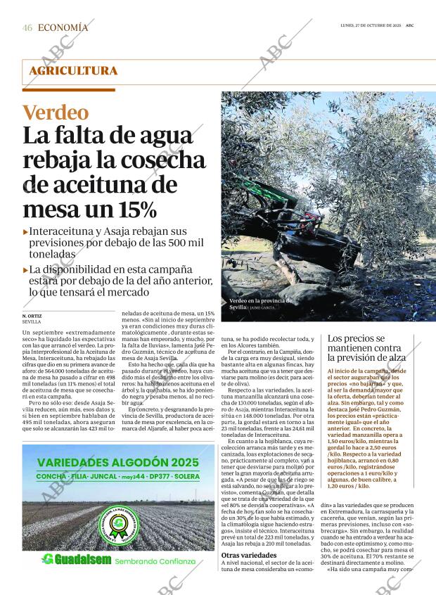 ABC SEVILLA 27-10-2025 página 46