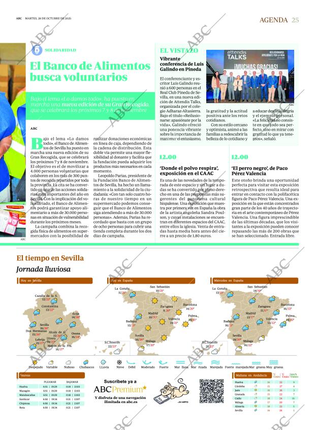 ABC SEVILLA 28-10-2025 página 25