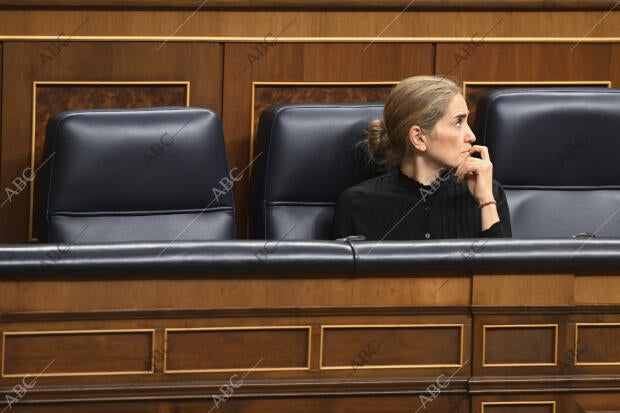 Pleno del congreso de los Diputados