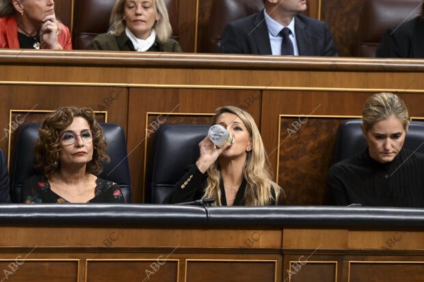 Pleno del congreso de los Diputados