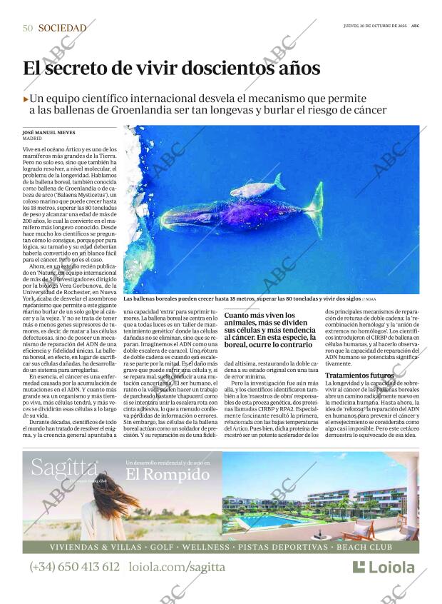 ABC CORDOBA 30-10-2025 página 50