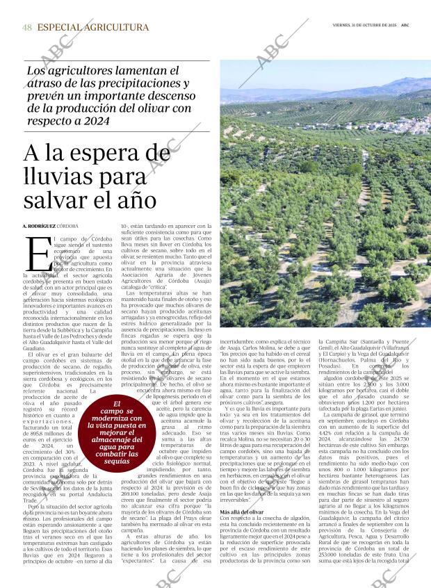 ABC CORDOBA 31-10-2025 página 48