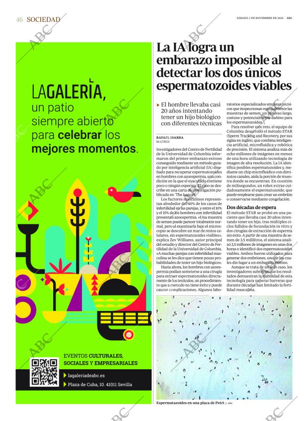 ABC CORDOBA 01-11-2025 página 46