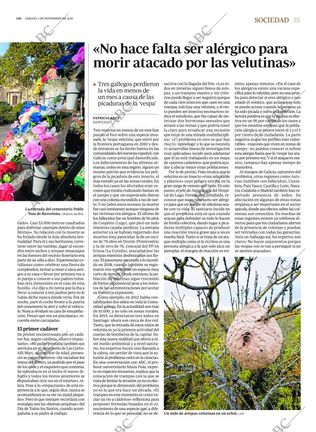 ABC MADRID 01-11-2025 página 35