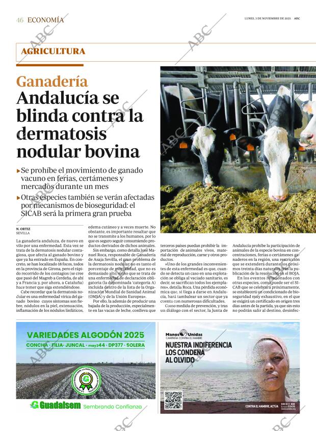 ABC SEVILLA 03-11-2025 página 46