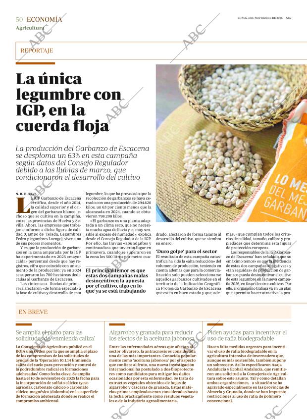 ABC SEVILLA 03-11-2025 página 50