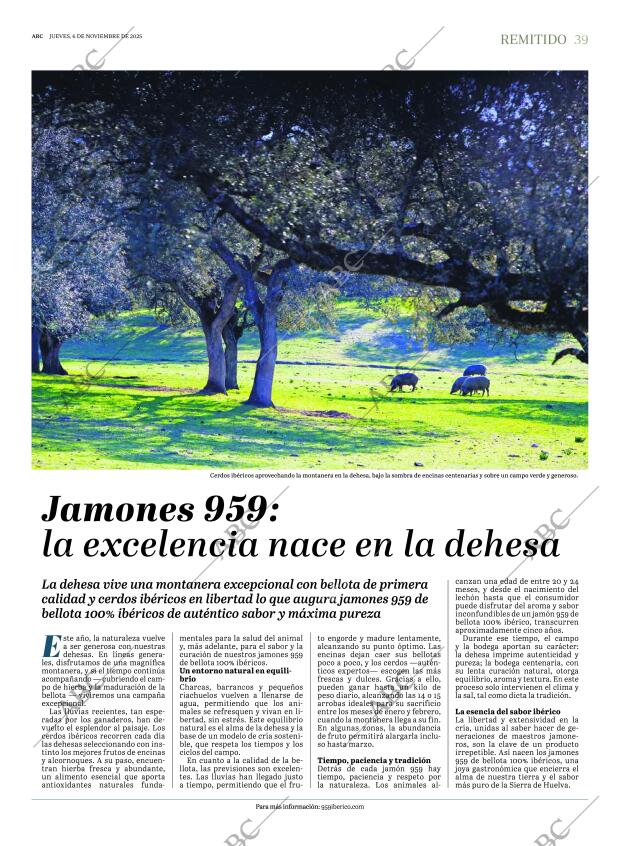 ABC SEVILLA 06-11-2025 página 39