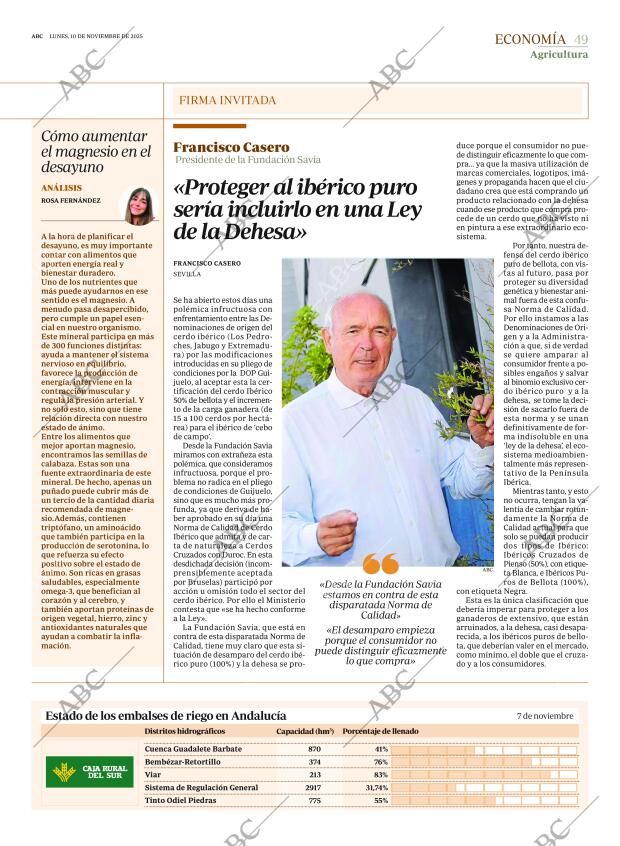 ABC SEVILLA 10-11-2025 página 49