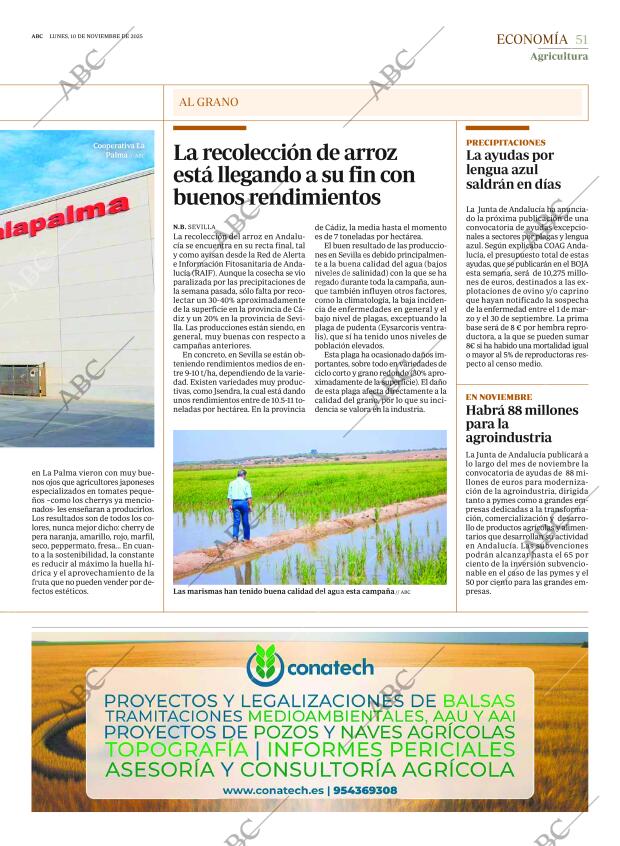 ABC SEVILLA 10-11-2025 página 51
