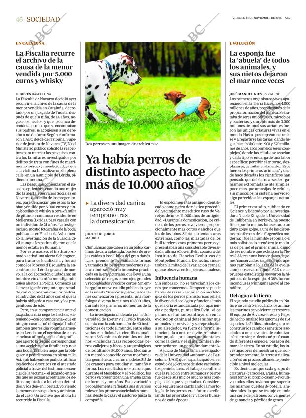 ABC CORDOBA 14-11-2025 página 46