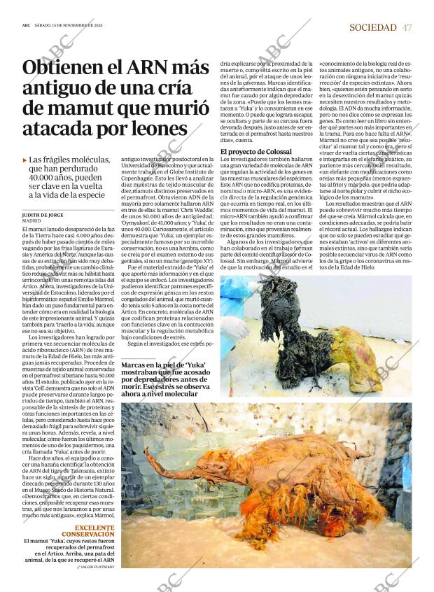 ABC CORDOBA 15-11-2025 página 47