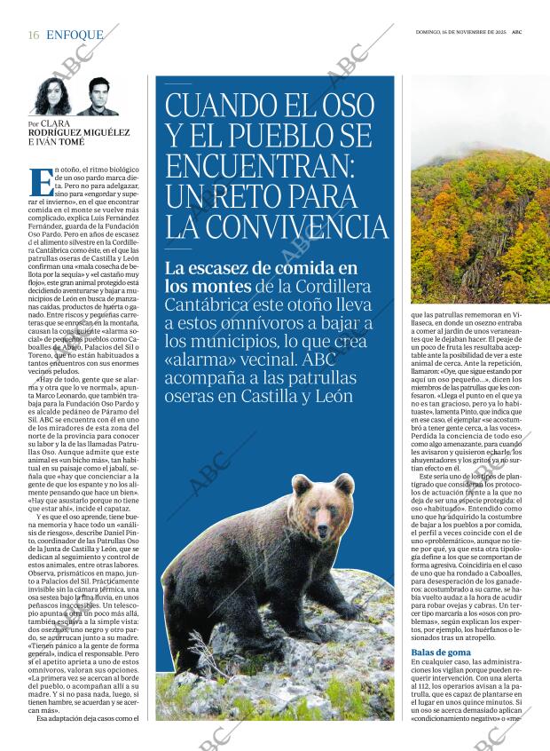 ABC CORDOBA 16-11-2025 página 16