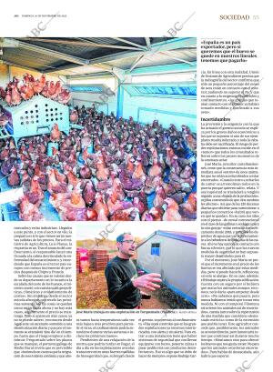 ABC CORDOBA 16-11-2025 página 55