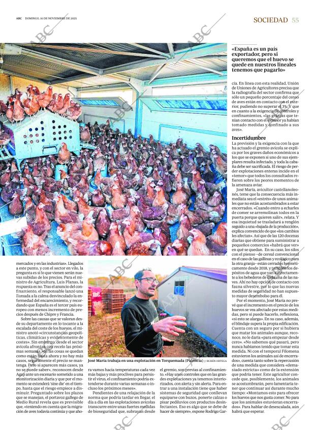 ABC CORDOBA 16-11-2025 página 55