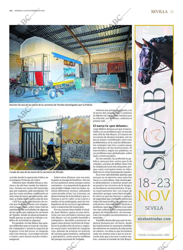 ABC SEVILLA 16-11-2025 página 21