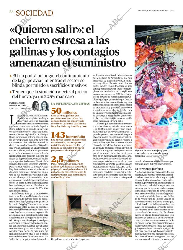 ABC SEVILLA 16-11-2025 página 58
