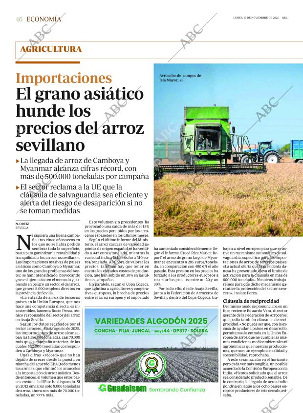 ABC SEVILLA 17-11-2025 página 46